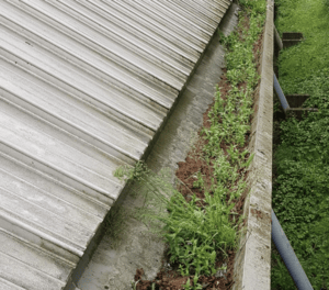 Happy customers in Marlow who trust The Roof Moss Cleaners for gutter cleaning services